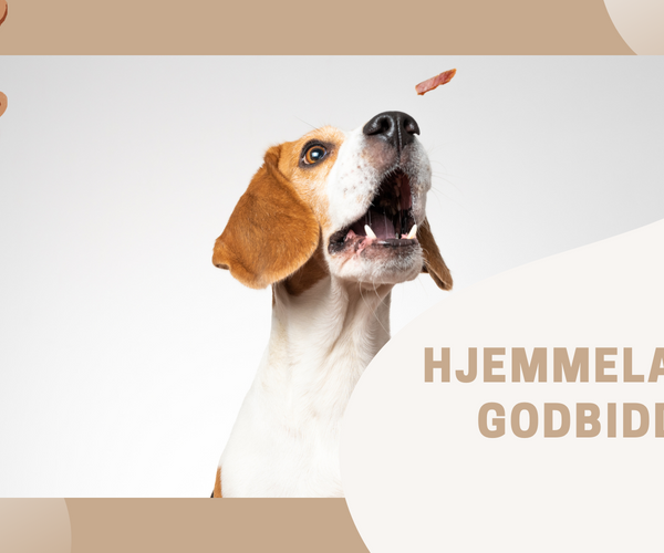 etage billetpris markedsføring Hjemmelavede Godbidder til hunde: Sundt, lækkert og nemme opskrifter –  Luksushund