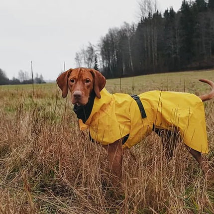 Paikka - Visibility Regnfrakke, Gul