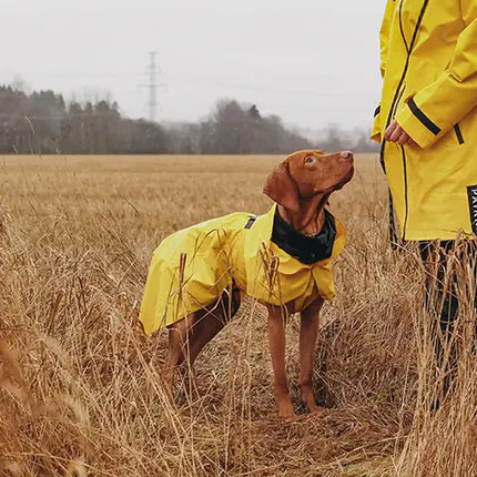 Paikka - Visibility Regnfrakke, Gul