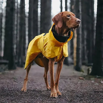 Paikka - Visibility Regnfrakke, Gul