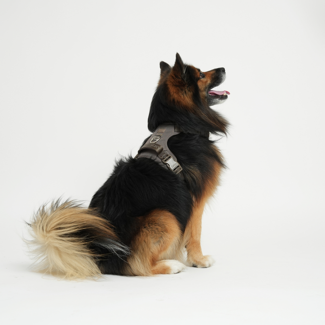 Staey - Elma Active Hundesele, Taupe