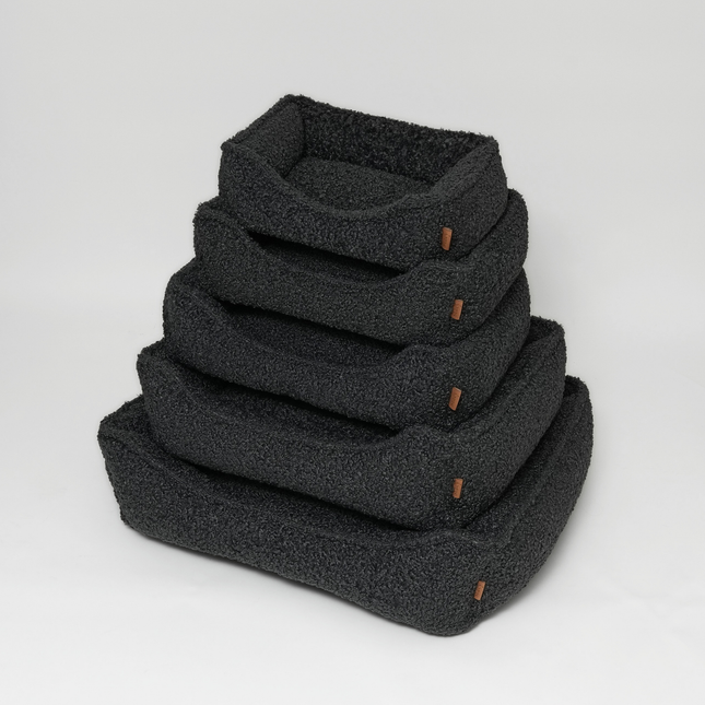 Staey - Tora Hundeseng, Storm Curly