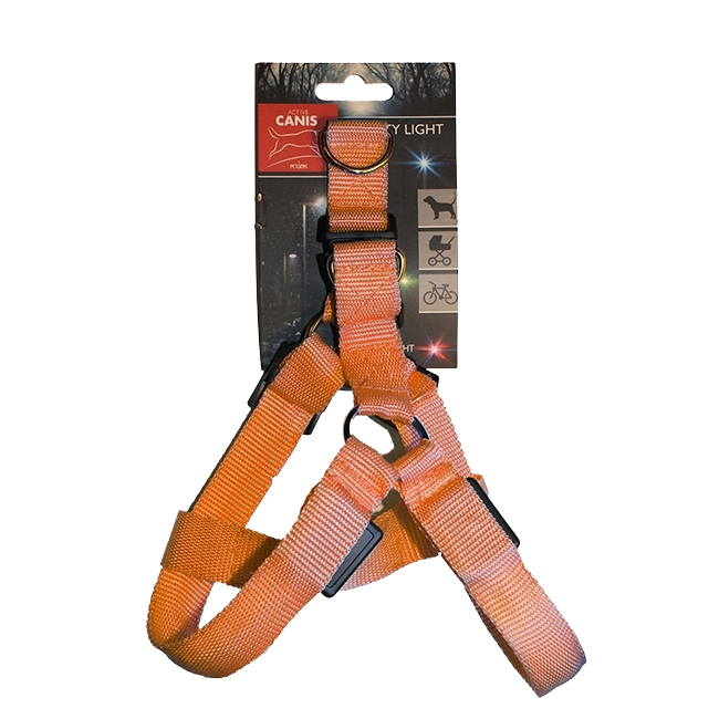 Active Canis LED Hundesele – Orange