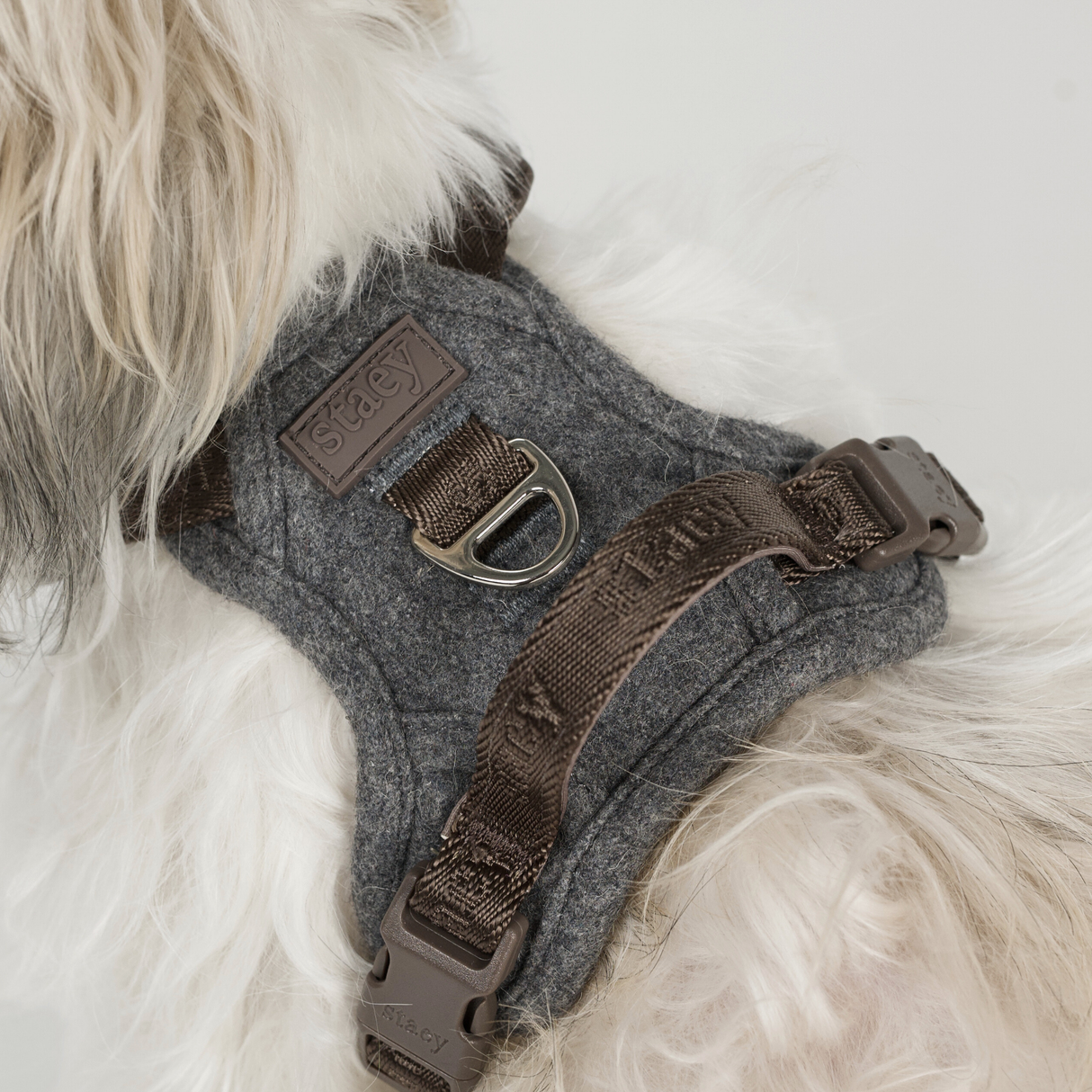 Staey - Elma Hundesele, Stone