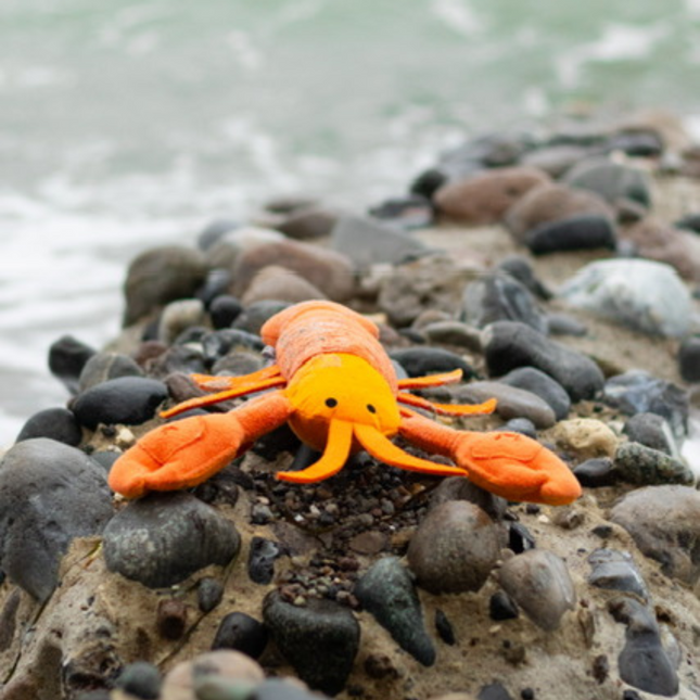 Humør Hummeren - Den perfekte aktiveringsbamse