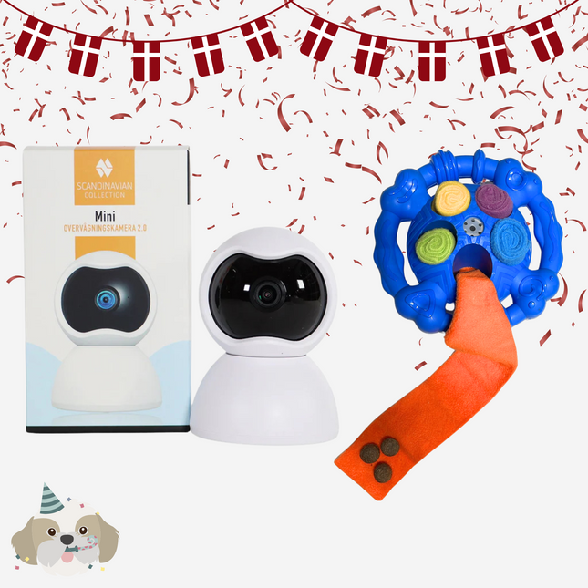 Fødselsdagspakke 1 - Alene Hjemme