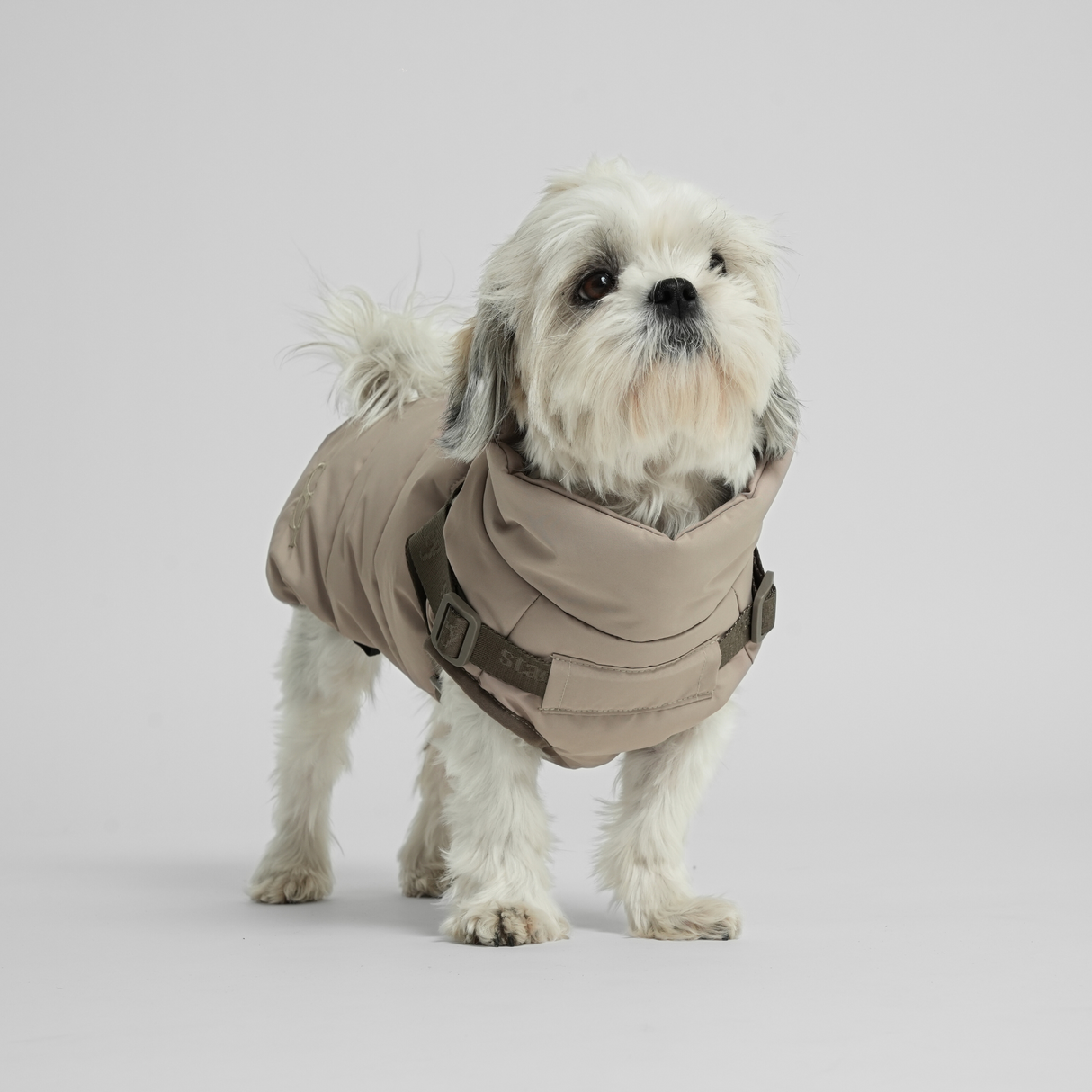 Staey - Vera Hundejakke m. sele, Sand