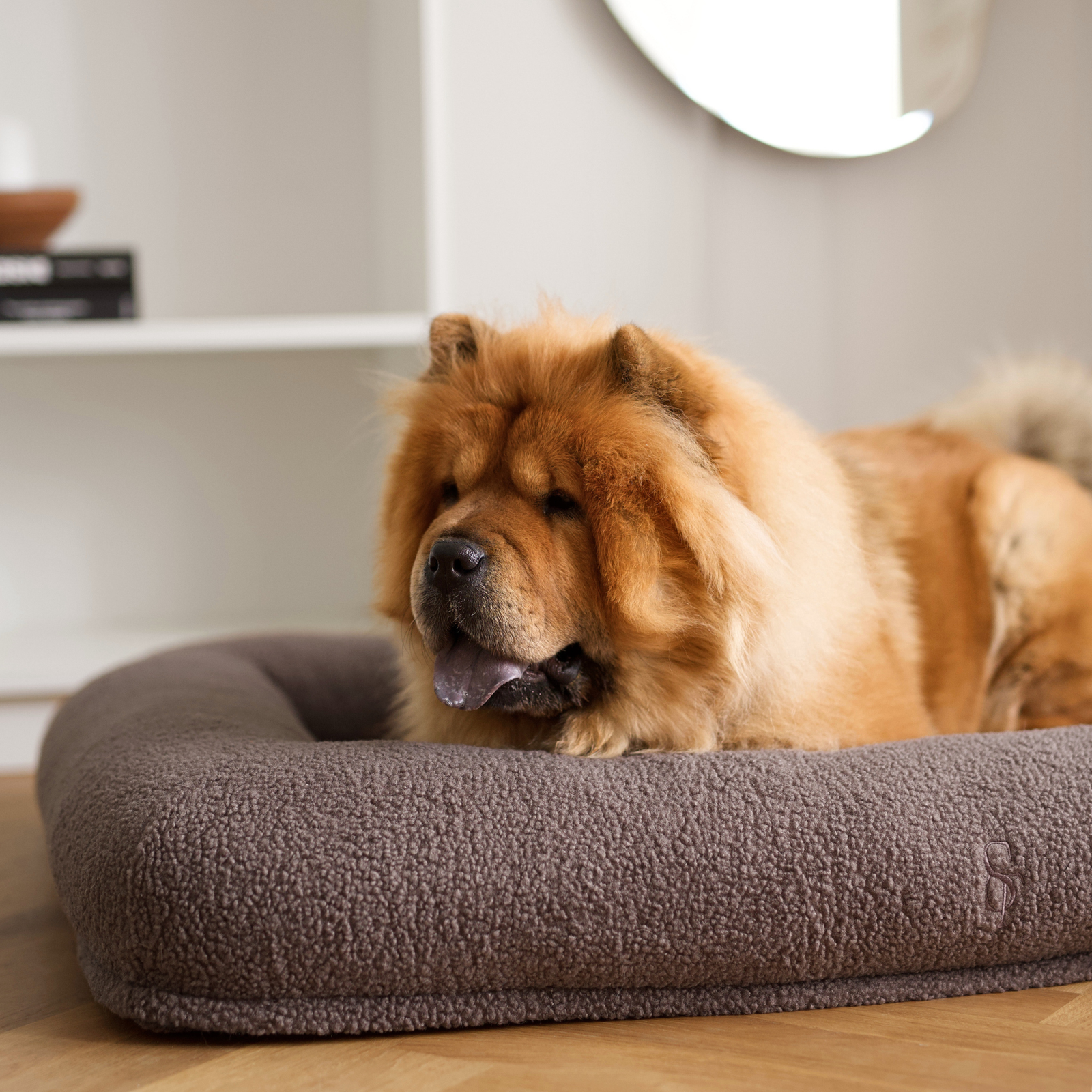 Staey – Clara Hundeseng