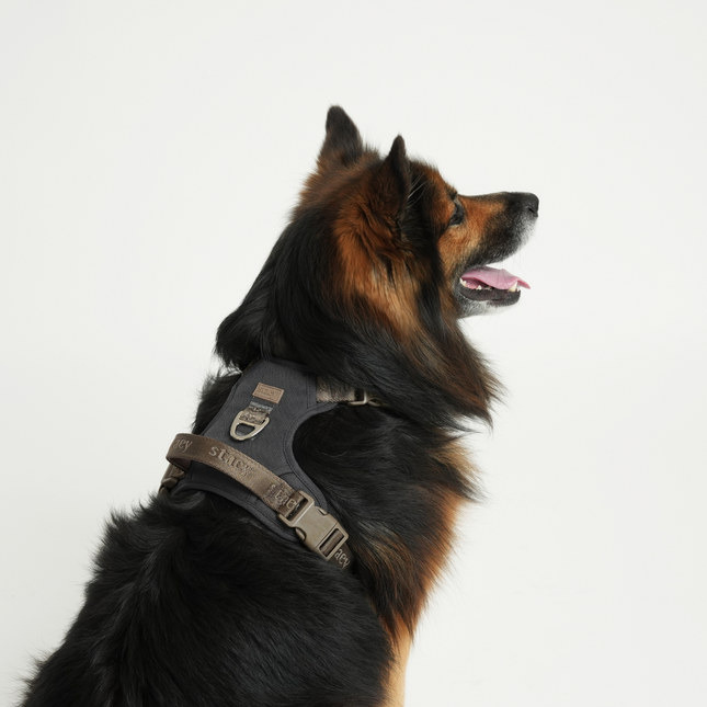 Staey - Elma Active Hundesele, Storm