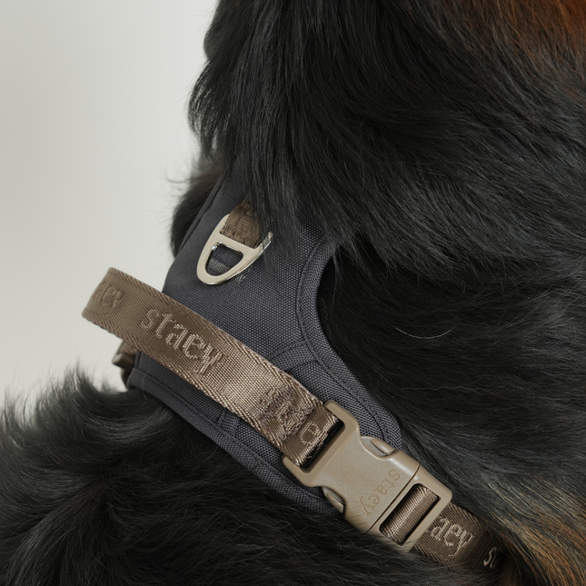 Staey - Elma Active Hundesele, Storm