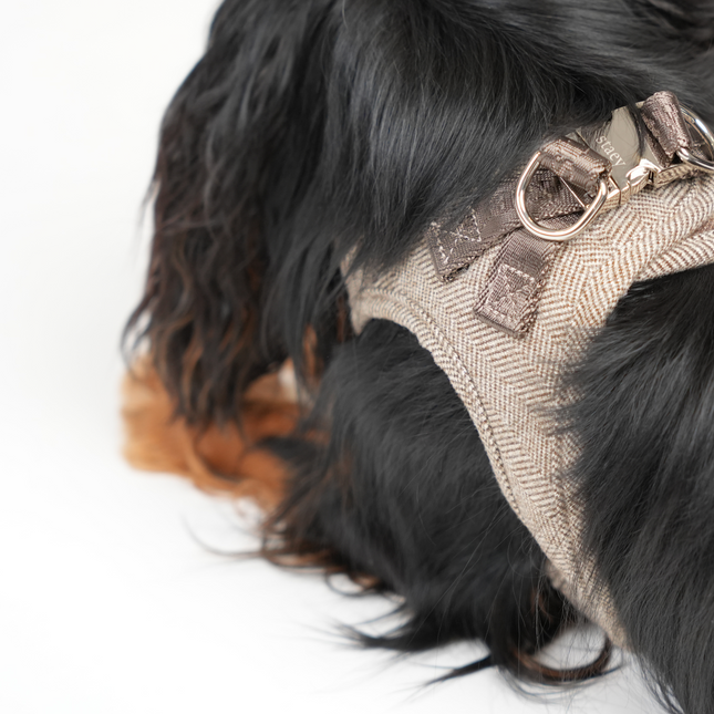 Staey - Saga Step-in Hundesele, Mocca