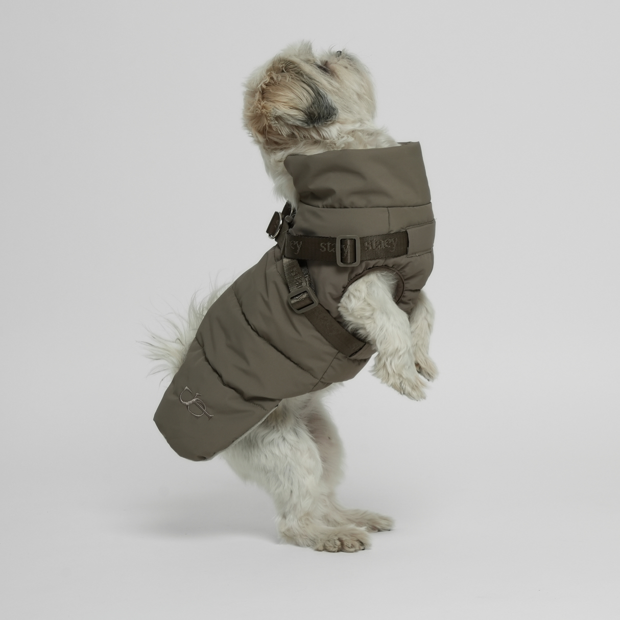 Staey - Vera Hundejakke m. sele, Sage