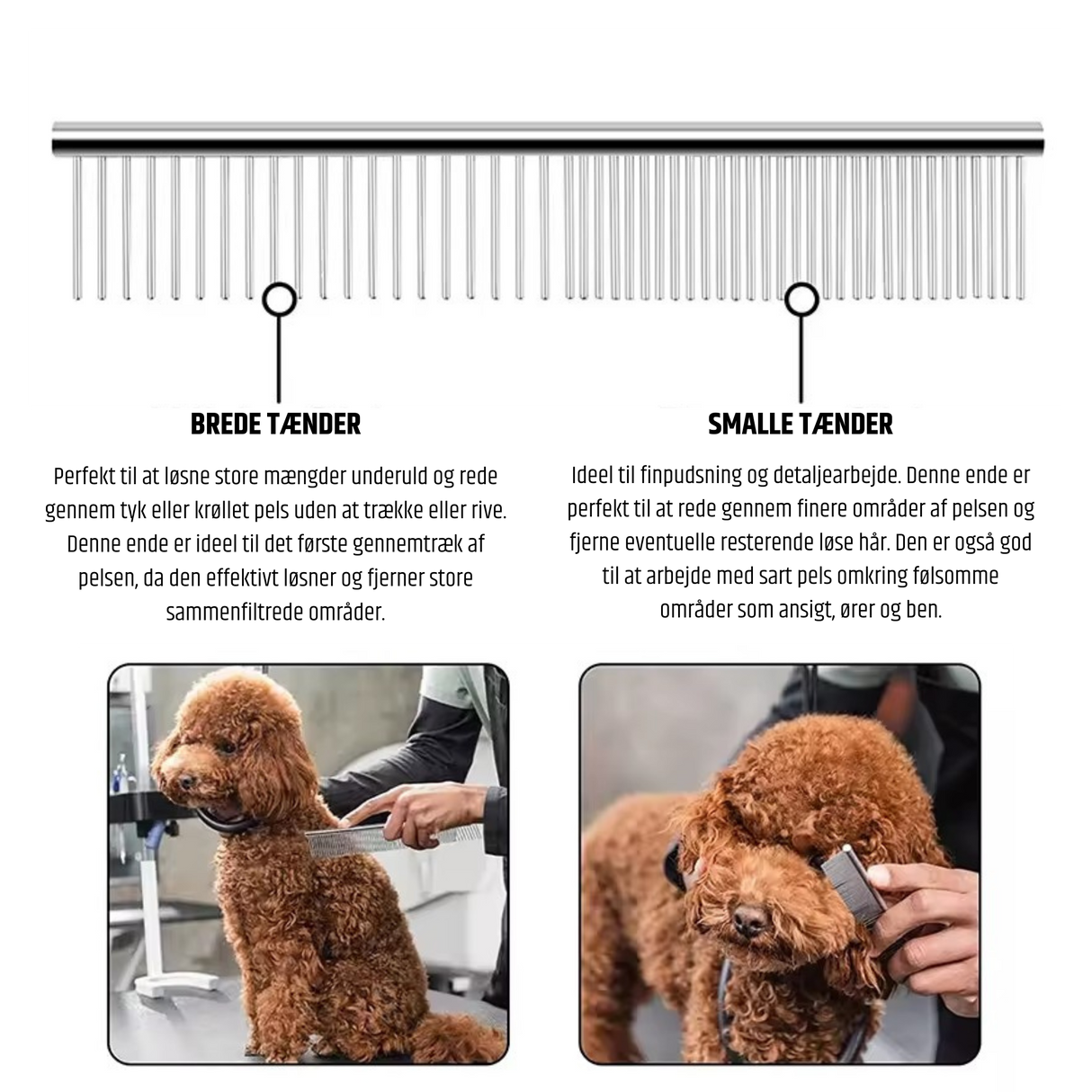 Hundekam i Stål