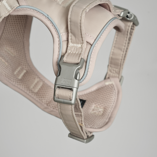 Furpect - Core H-Hundesele, Sand