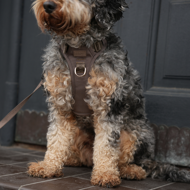 Staey - Elma Active Hundesele, Taupe