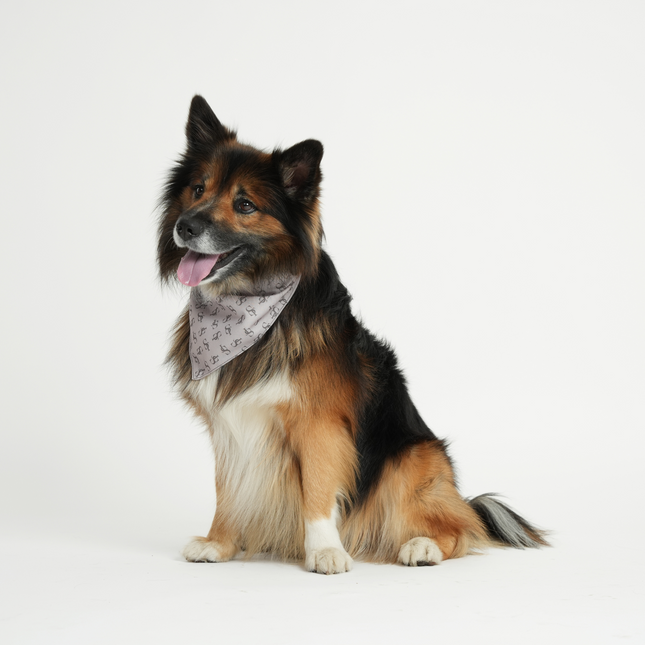 Staey - ST Bandana, Natur