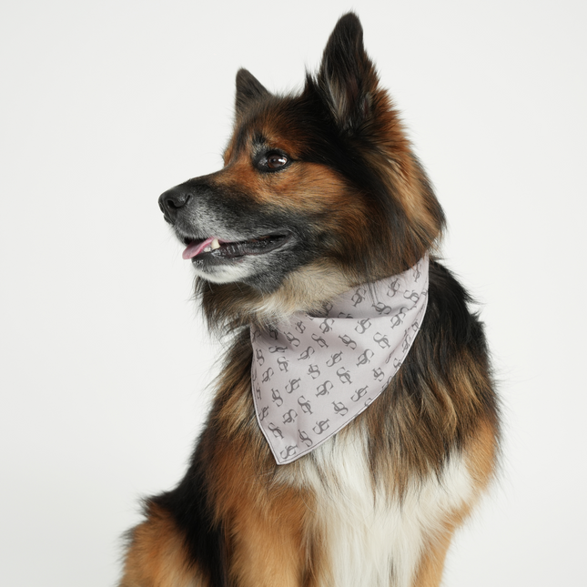 Staey - ST Bandana, Natur