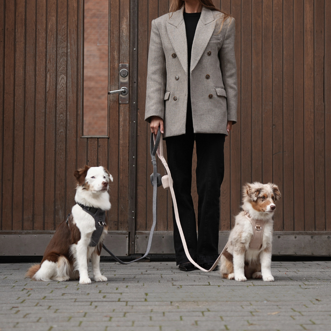 Staey - Elma Hundesele, Dusty Blue