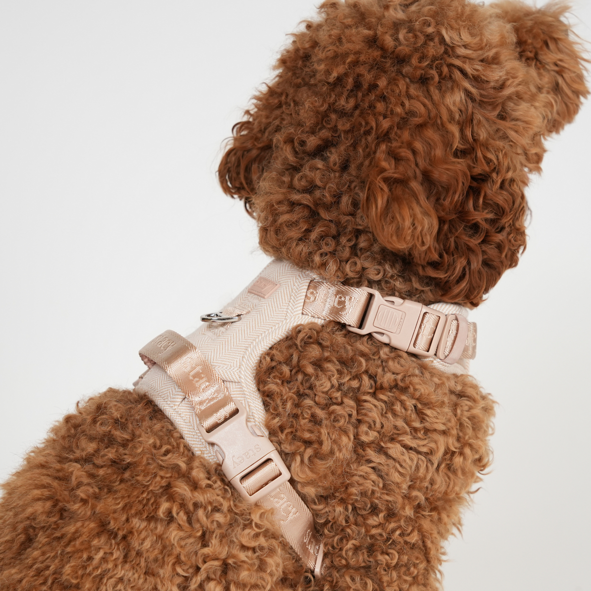 Staey - Elma Hundesele, Light Rose