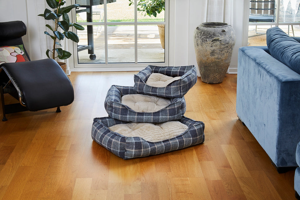 Skotskternet Hundeseng, Navy