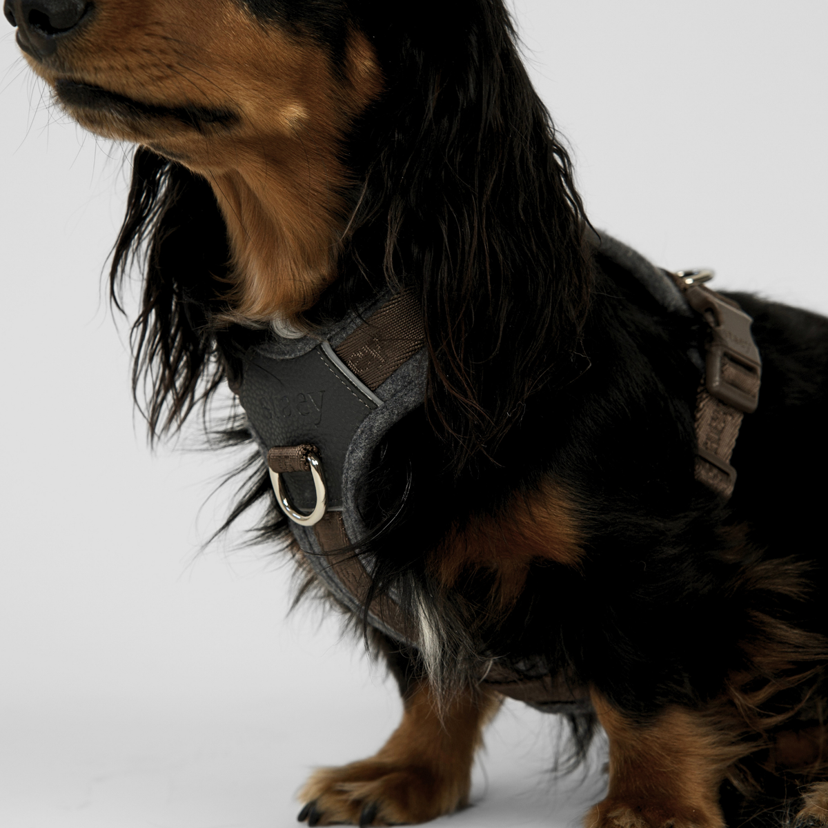 Staey - Numa Hundesele, Stone