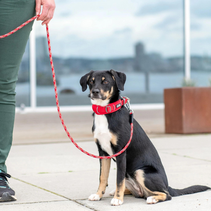 Dog Copenhagen Urban Explorer™ Halsbånd - Mocca