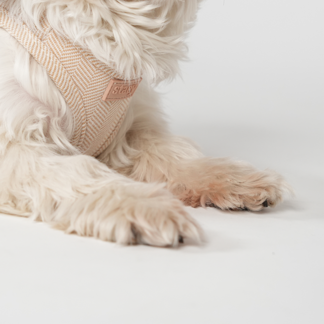 Staey - Saga Step-in Hundesele, Light Rose