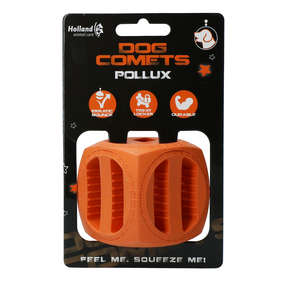 Dog Comets - Pollux, Orange