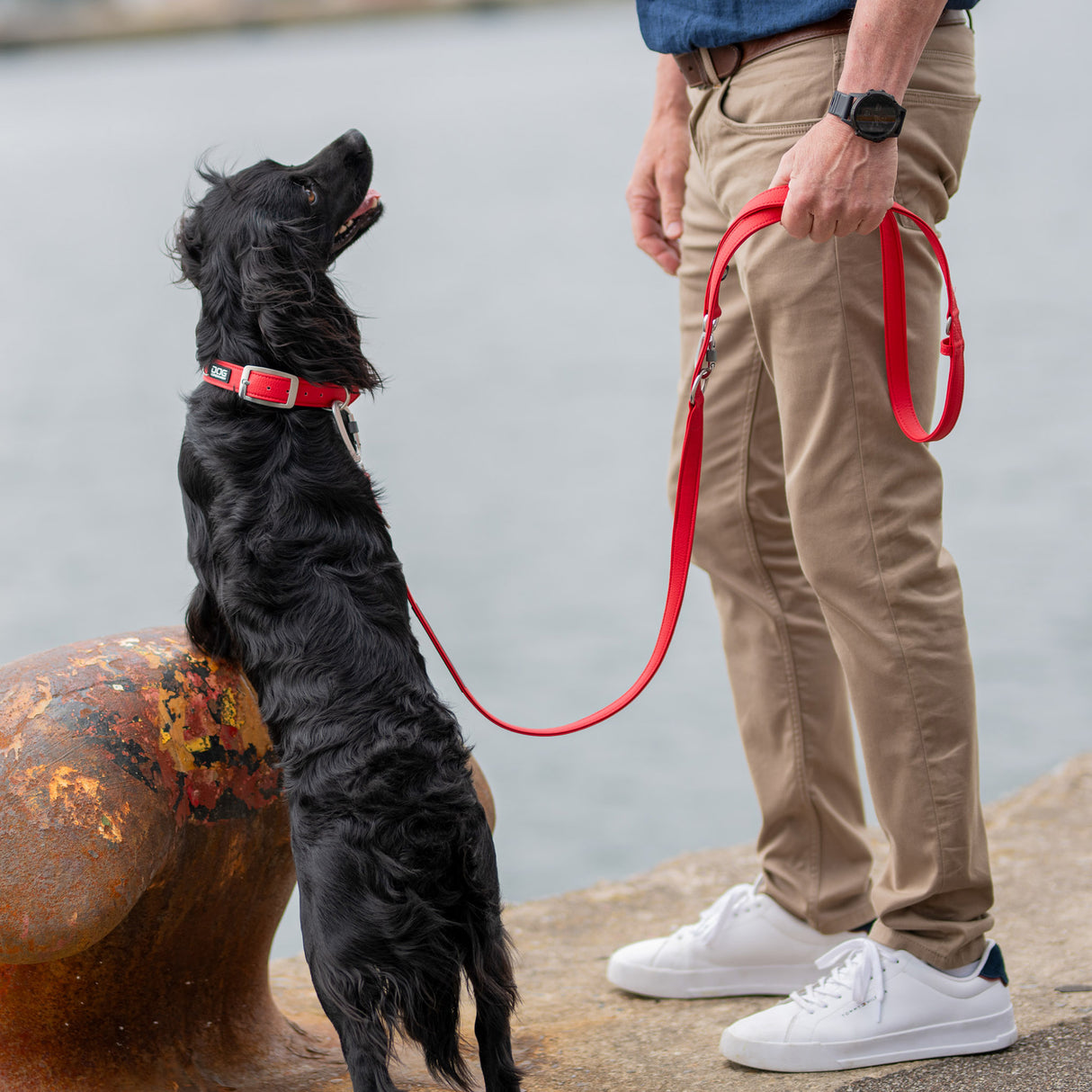 DOG Copenhagen Urban Classic™ Halsbånd - Classic Red