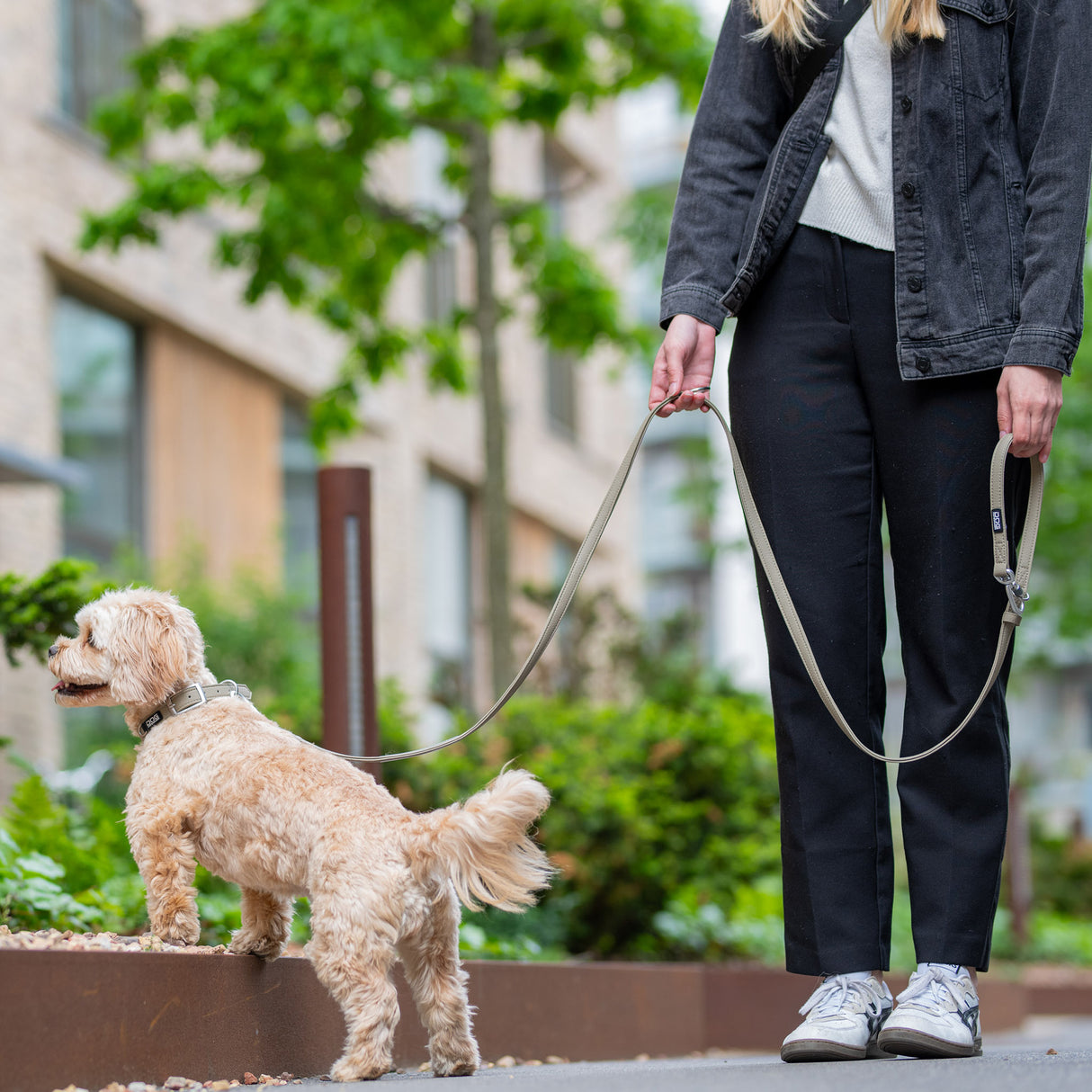 DOG Copenhagen Urban Classic™ Line - Desert Dune