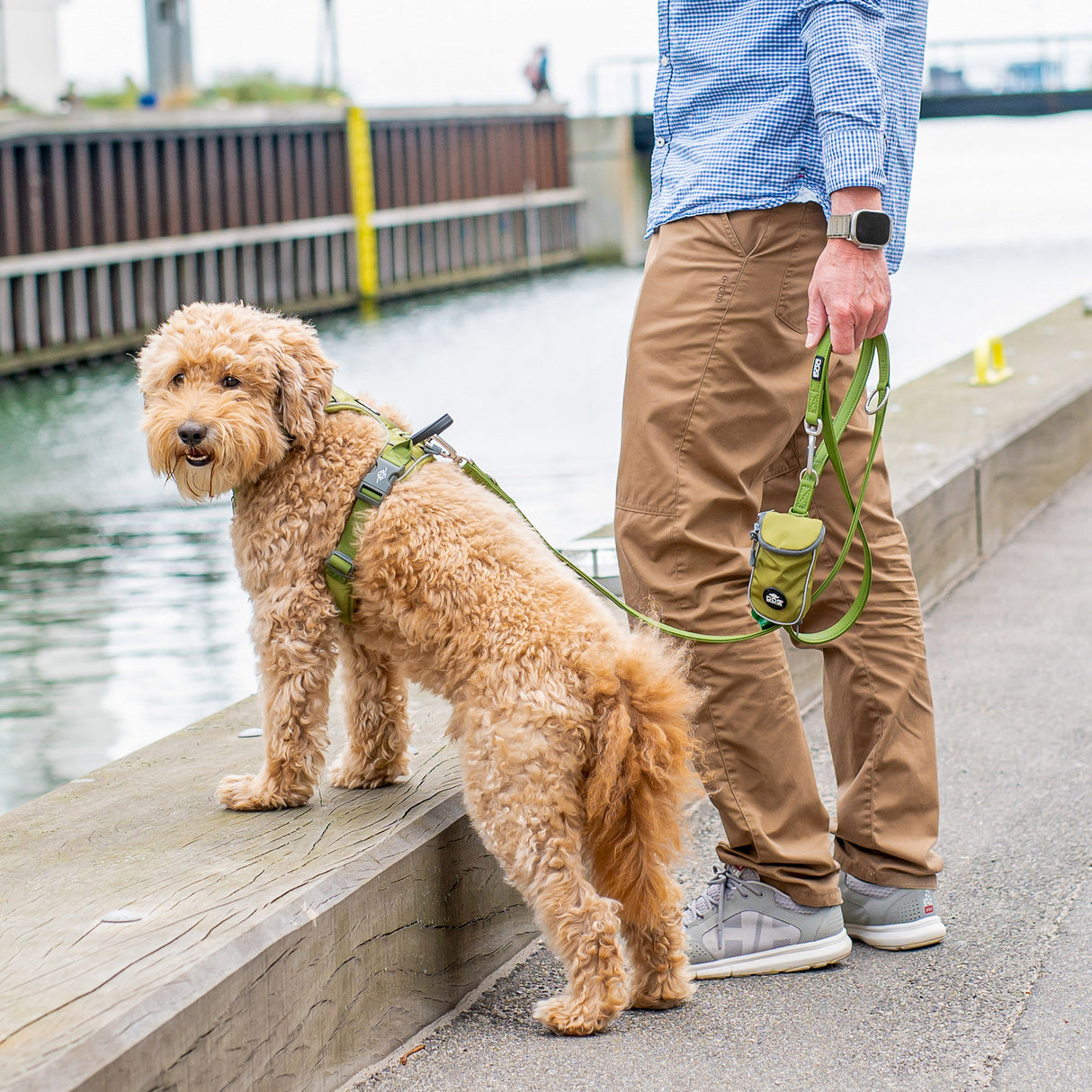 DOG Copenhagen Urban Classic™ Line - Hunting Green
