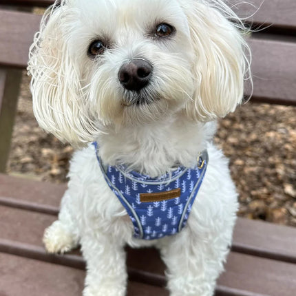 Puppy Bohéme - Arrow step-in sele