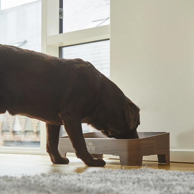 Dog Copenhagen - Skagen Food Bar, Premium White