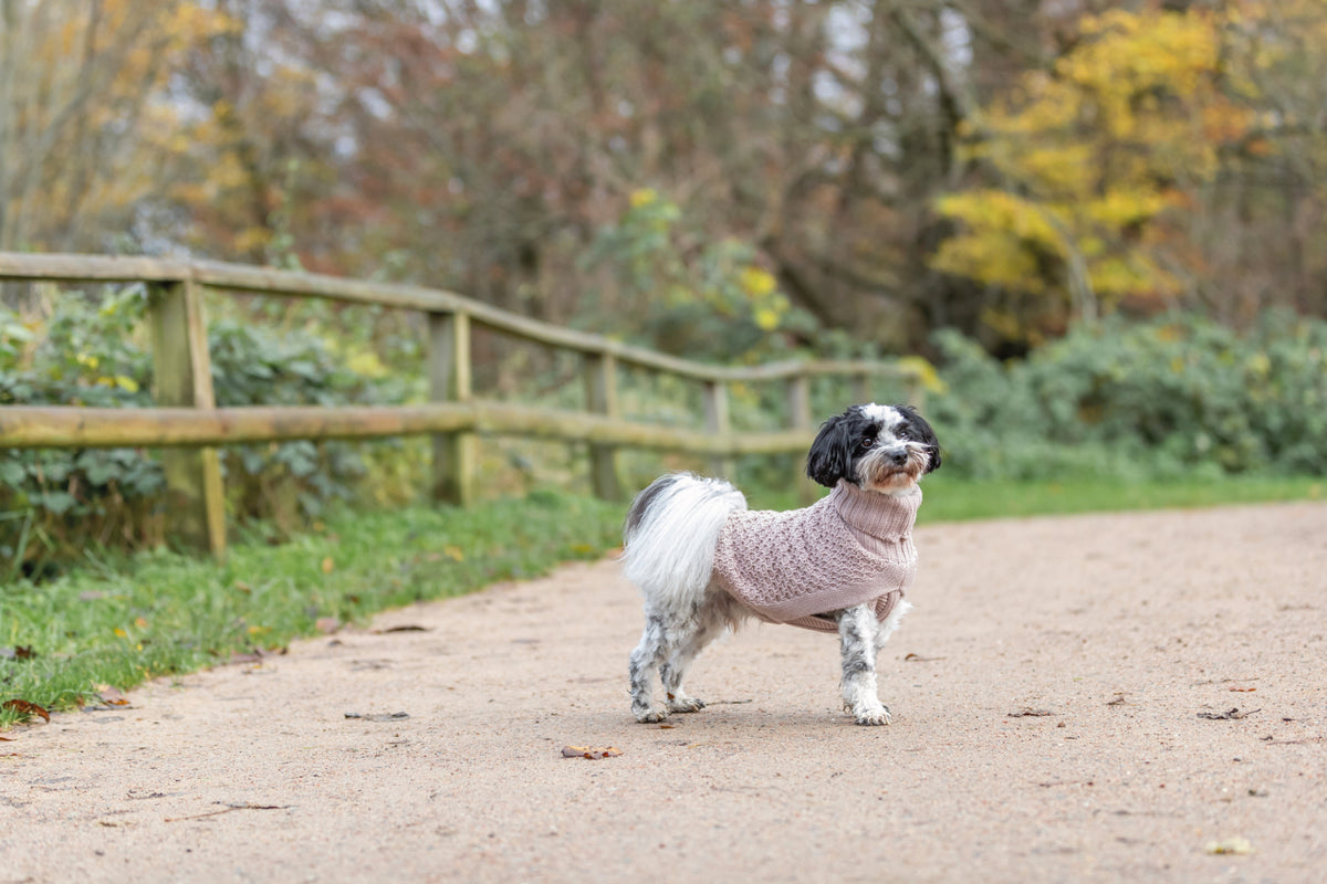 Trixie Norwood hundepullover i blush