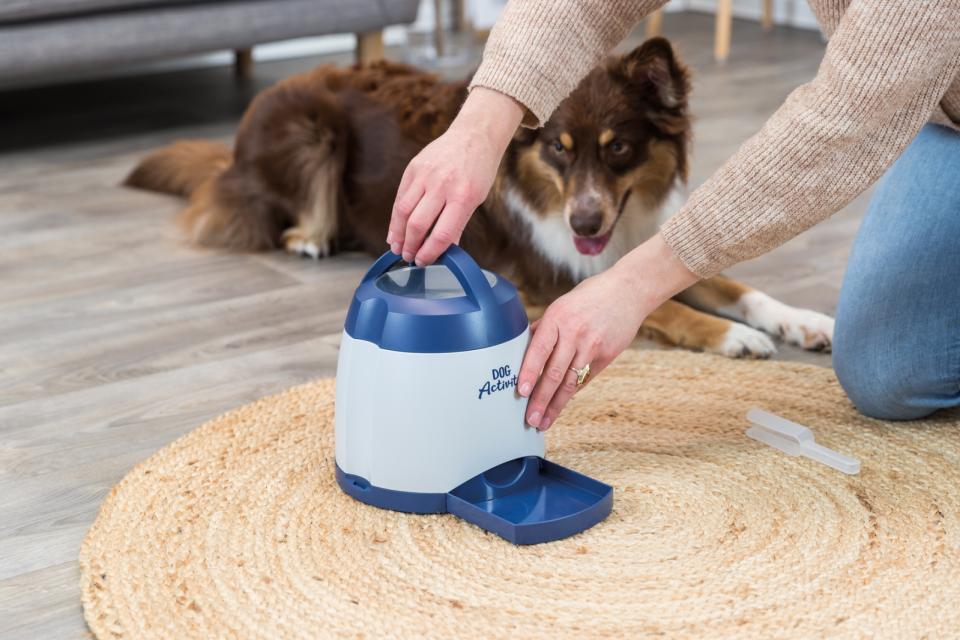 Trixie - Memory Trainer Aktiveringslegetøj