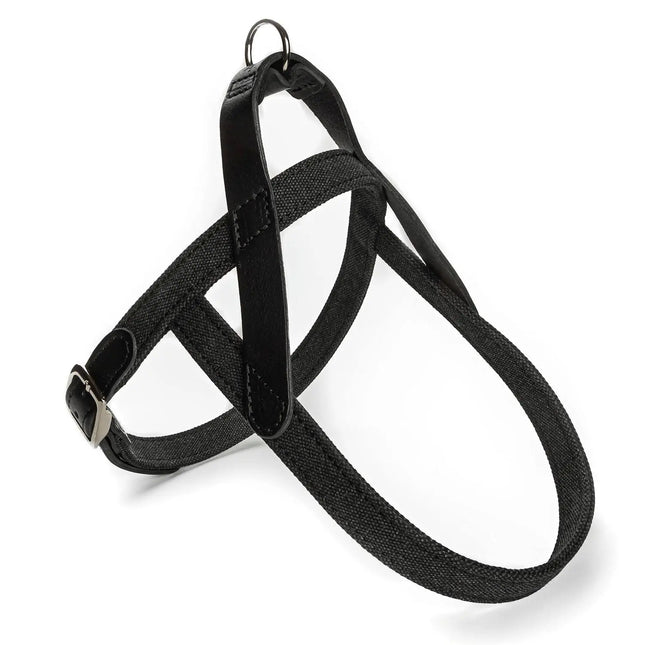 Cloud7 hundesele, Tivoli, Sort Cloud7