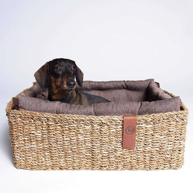 Cloud7 hundeseng, Hideaway, Plum Cloud7