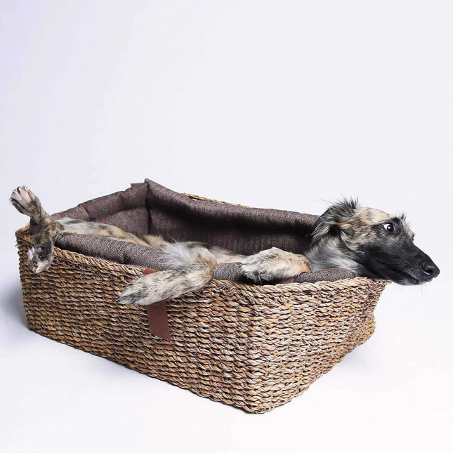 Cloud7 hundeseng, Hideaway, Plum Cloud7