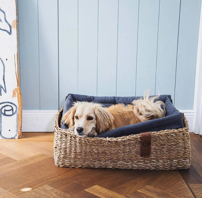 Cloud7 hundeseng, Hideaway, Plum Cloud7