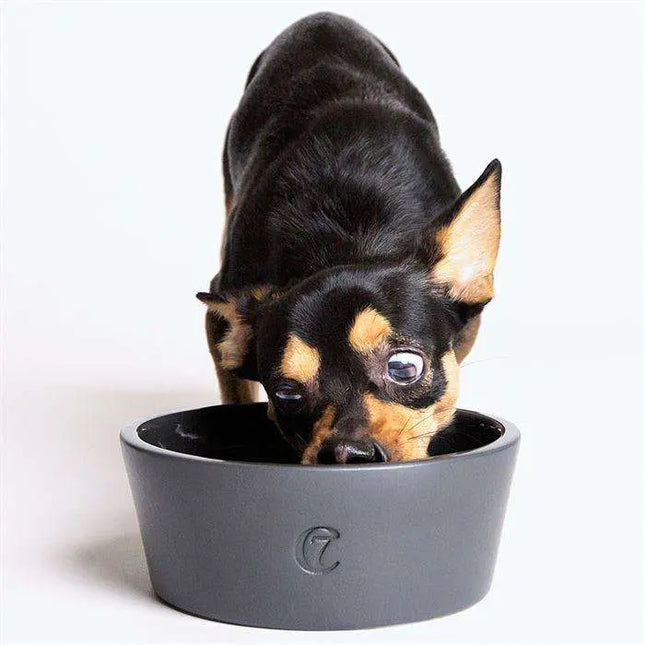 Cloud7 hundeskål Oliver, varm grå Cloud7