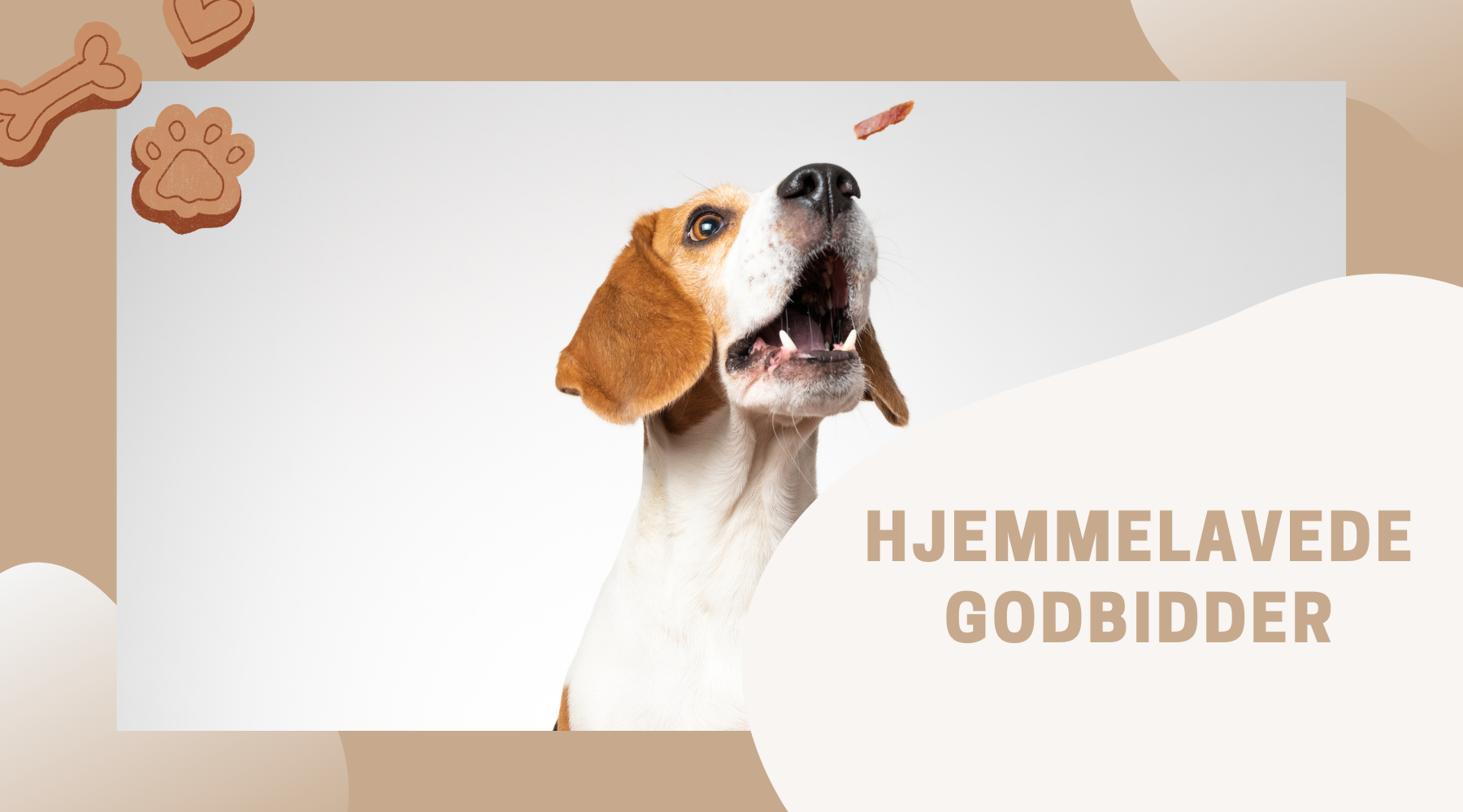 klippe Reception nuttet Hjemmelavede Godbidder til hunde: Sundt, lækkert og nemme opskrifter –  Luksushund