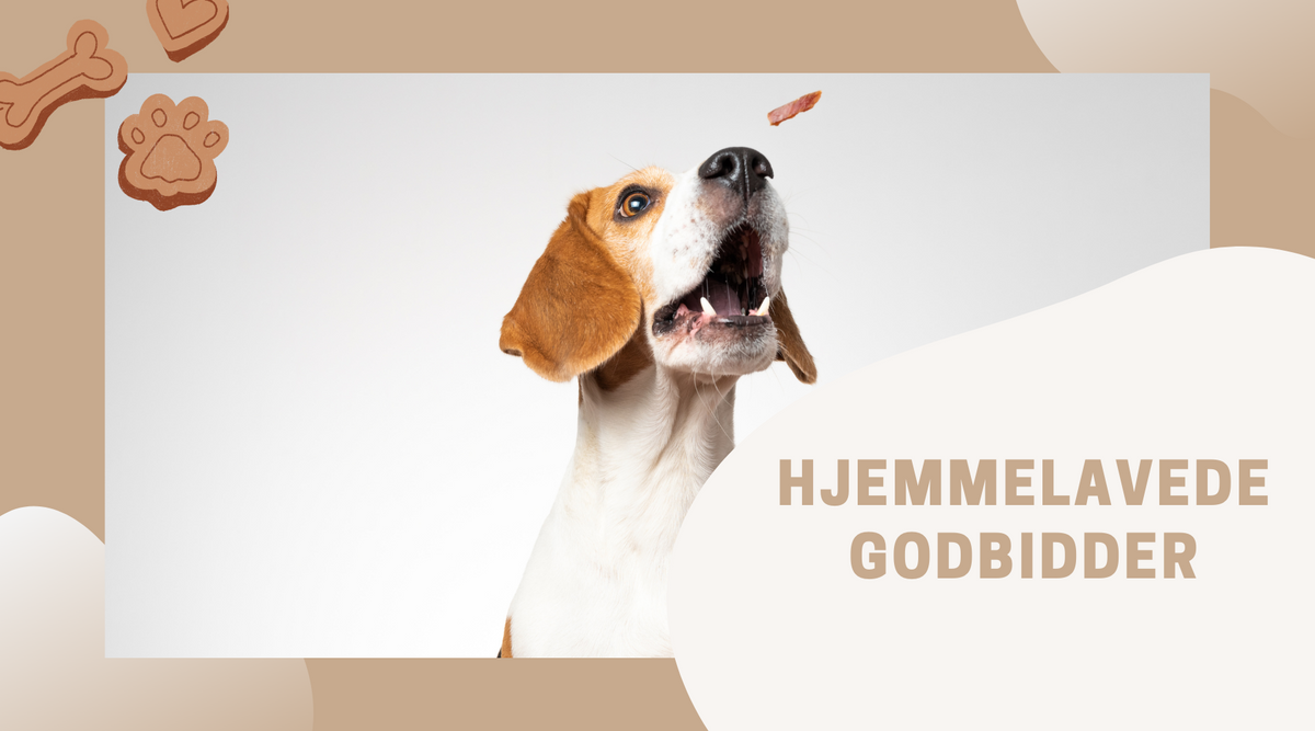 Hjemmelavede Godbidder til hunde: Sundt, lækkert og nemme opskrifter