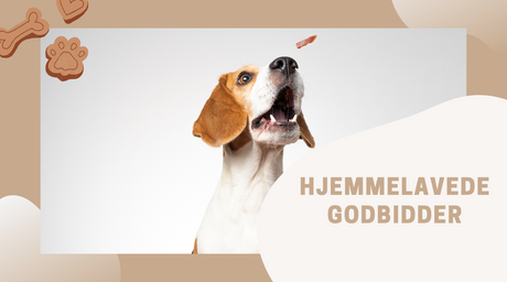 Hjemmelavede Godbidder til hunde: Sundt, lækkert og nemme opskrifter