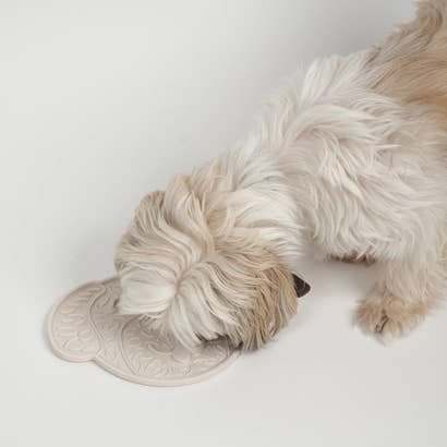 Slikkemåtte til hund: Sjov og sundhed i hver bid