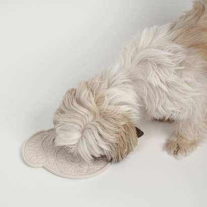 Slikkemåtte til Hund 2025 — Fordele & Anbefalinger