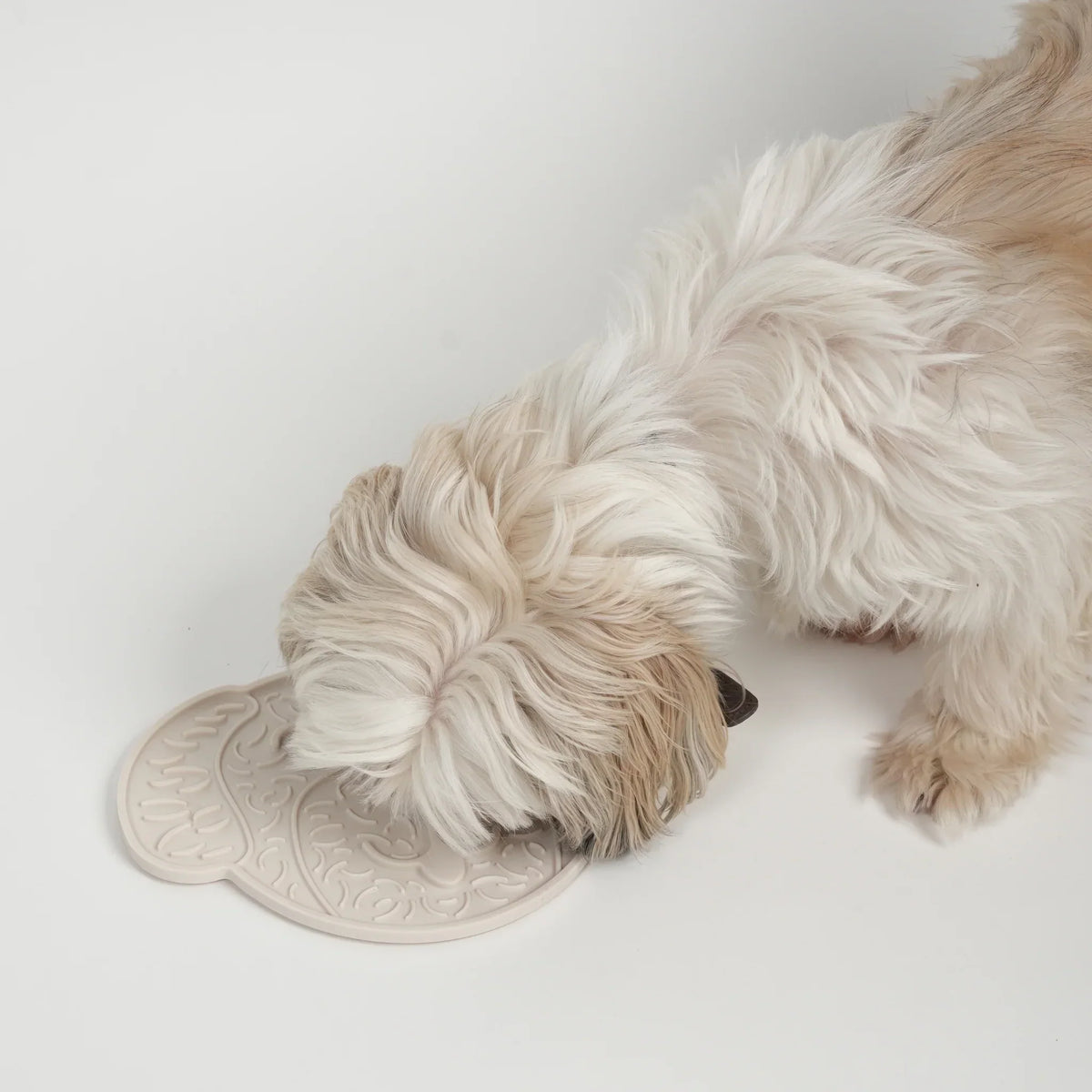 Slikkemåtte til Hund 2025 — Fordele & Anbefalinger