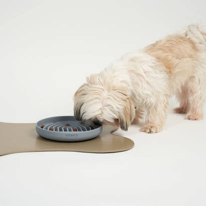 Slowfeeders: Effektiv løsning til at kontrollere din hunds spisetempo
