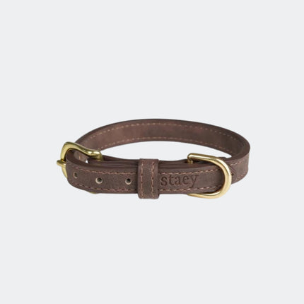 Collection image for: Hundehalsbånd