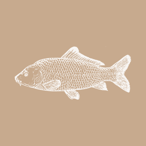 Luksushund's Natursnacks - Fisk