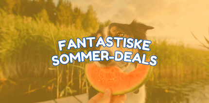 Collection image for: Sommerudsalg